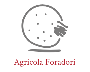 Foradori Logo